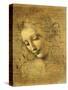 Head of a Young Woman La Scapigliata (the Lady of the Disheveled Hair)-Leonardo da Vinci-Stretched Canvas