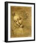 Head of a Young Woman La Scapigliata (the Lady of the Disheveled Hair)-Leonardo da Vinci-Framed Giclee Print