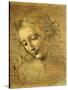 Head of a Young Woman La Scapigliata (the Lady of the Disheveled Hair)-Leonardo da Vinci-Stretched Canvas