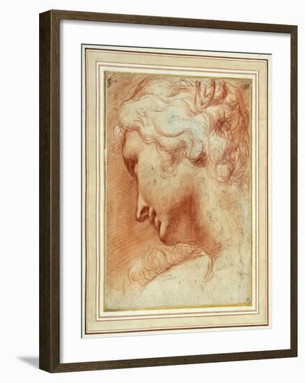 Head of a Young Woman Looking Down over Her Right Shoulder-Agostino Carracci-Framed Giclee Print