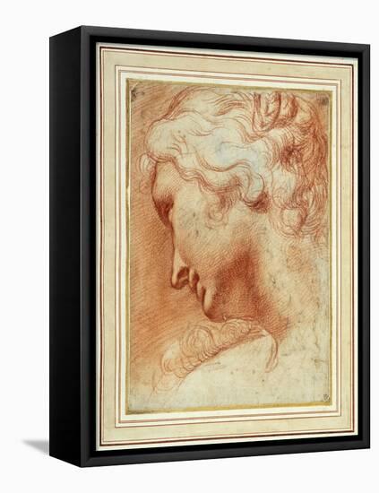 Head of a Young Woman Looking Down over Her Right Shoulder-Agostino Carracci-Framed Stretched Canvas