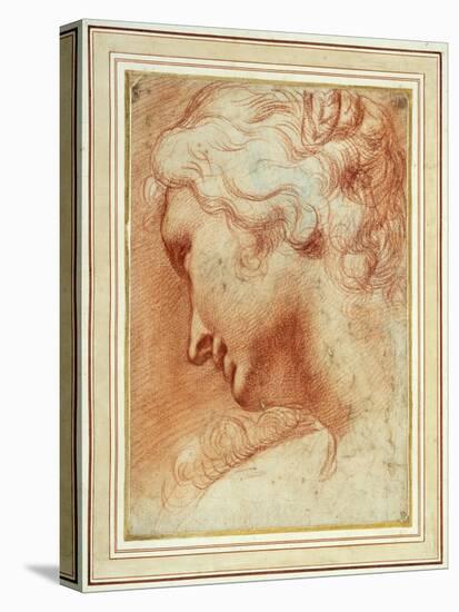 Head of a Young Woman Looking Down over Her Right Shoulder-Agostino Carracci-Stretched Canvas