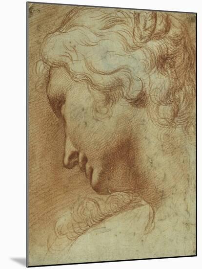 Head of a Young Woman Looking Down over Her Right Shoulder-Agostino Carracci-Mounted Giclee Print