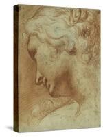 Head of a Young Woman Looking Down over Her Right Shoulder-Agostino Carracci-Stretched Canvas