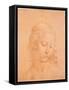 Head of a Young Woman-apprentice of Leonardo da Vinci-Framed Stretched Canvas