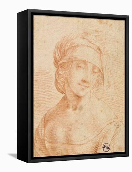 Head of a Young Woman-null-Framed Stretched Canvas