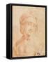 Head of a Young Woman-null-Framed Stretched Canvas