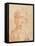 Head of a Young Woman-Leonardo da Vinci-Framed Stretched Canvas