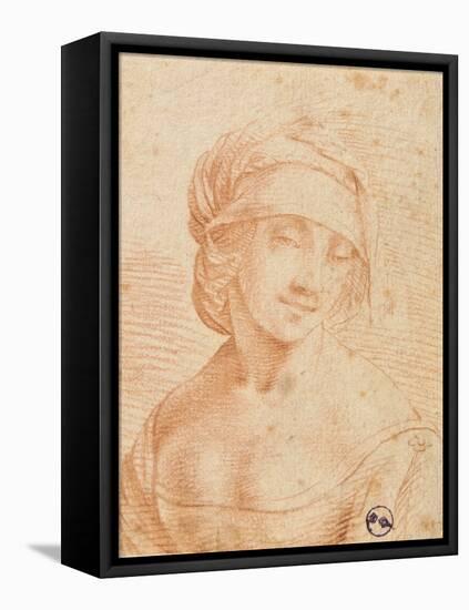 Head of a Young Woman-Leonardo da Vinci-Framed Stretched Canvas