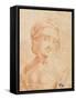 Head of a Young Woman-Leonardo da Vinci-Framed Stretched Canvas