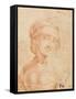 Head of a Young Woman-Leonardo da Vinci-Framed Stretched Canvas