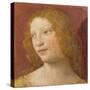 Head of a Young Woman-Bernardino Luini-Stretched Canvas