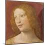 Head of a Young Woman-Bernardino Luini-Mounted Giclee Print