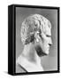 Head of Agrippa Sculpture-null-Framed Stretched Canvas