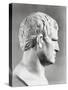 Head of Agrippa Sculpture-null-Stretched Canvas