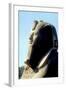 Head of Alabaster Sphinx, Memphis, Egypt, 18th or 19th Dynasty, C14th - 13th Century Bc-CM Dixon-Framed Photographic Print