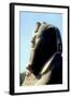 Head of Alabaster Sphinx, Memphis, Egypt, 18th or 19th Dynasty, C14th - 13th Century Bc-CM Dixon-Framed Photographic Print