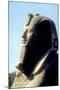 Head of Alabaster Sphinx, Memphis, Egypt, 18th or 19th Dynasty, C14th - 13th Century Bc-CM Dixon-Mounted Photographic Print