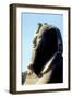 Head of Alabaster Sphinx, Memphis, Egypt, 18th or 19th Dynasty, C14th - 13th Century Bc-CM Dixon-Framed Photographic Print