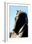 Head of Alabaster Sphinx, Memphis, Egypt, 18th or 19th Dynasty, C14th - 13th Century Bc-CM Dixon-Framed Photographic Print