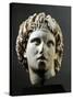 Head of Alexander Great Sculpture from Yannitsa', Near Pella, Greece-null-Stretched Canvas