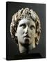 Head of Alexander Great Sculpture from Yannitsa', Near Pella, Greece-null-Stretched Canvas