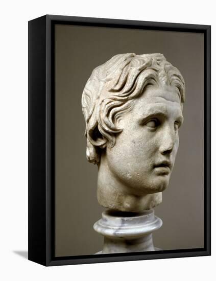 Head of Alexander the Great-null-Framed Stretched Canvas