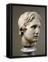 Head of Alexander the Great-null-Framed Stretched Canvas