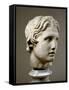 Head of Alexander the Great-null-Framed Stretched Canvas