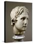 Head of Alexander the Great-null-Stretched Canvas