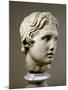 Head of Alexander the Great-null-Mounted Photographic Print