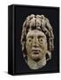 Head of Alexander the Great-null-Framed Stretched Canvas