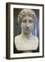 Head of an Amazon, Early 1st Century-Polykleitos Polykleitos-Framed Photographic Print