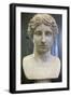 Head of an Amazon, Early 1st Century-Polykleitos Polykleitos-Framed Photographic Print