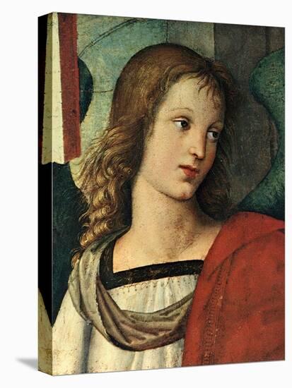 Head of an Angel, C. 1500-Raphael-Stretched Canvas