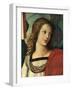 Head of an Angel, C. 1500-Raphael-Framed Giclee Print