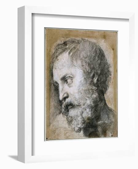 Head of an Apostle (Study for Transfiguratio), 1519-1520-Raphael-Framed Giclee Print