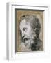 Head of an Apostle (Study for Transfiguratio), 1519-1520-Raphael-Framed Giclee Print