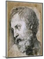 Head of an Apostle (Study for Transfiguratio), 1519-1520-Raphael-Mounted Giclee Print