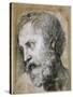 Head of an Apostle (Study for Transfiguratio), 1519-1520-Raphael-Stretched Canvas