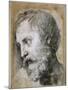 Head of an Apostle (Study for Transfiguratio), 1519-1520-Raphael-Mounted Giclee Print