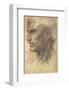 Head of an Apostle-Andrea del Sarto-Framed Art Print