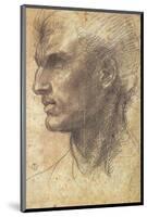 Head of an Apostle-Andrea del Sarto-Mounted Art Print