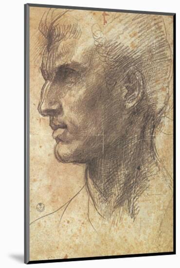 Head of an Apostle-Andrea del Sarto-Mounted Art Print