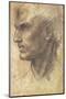 Head of an Apostle-Andrea del Sarto-Mounted Art Print