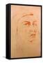 Head of an Indian Man By James A. Wehn, D. 1915-James Wehn-Framed Stretched Canvas