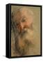 Head of an Old Bearded Man, 1584-1586-Federigo Barocci-Framed Stretched Canvas