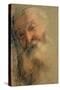 Head of an Old Bearded Man, 1584-1586-Federigo Barocci-Stretched Canvas