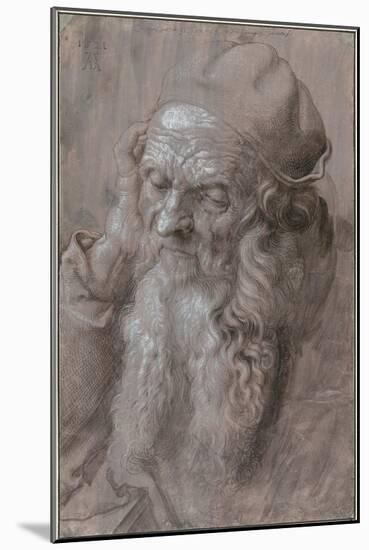 Head of an Old Man, 1521-Albrecht Dürer-Mounted Giclee Print