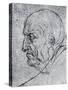 Head of an Old Man, 1913-Leonardo da Vinci-Stretched Canvas